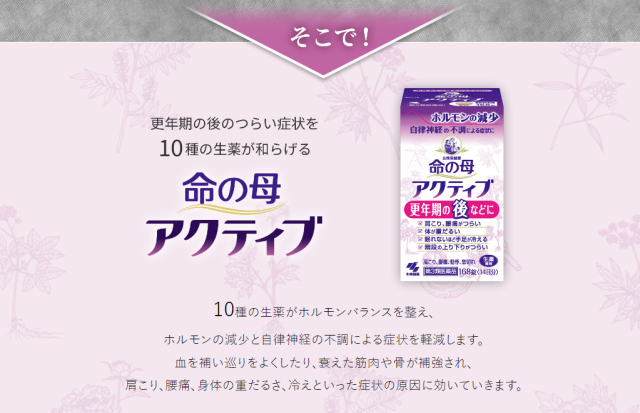 第3類医薬品】小林製薬 女性保健薬 命の母 アクティブ 168錠 2個セット